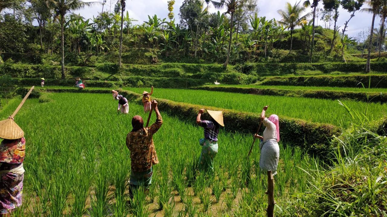 테테바투 Bale Kembang Kuning 아파트 외부 사진